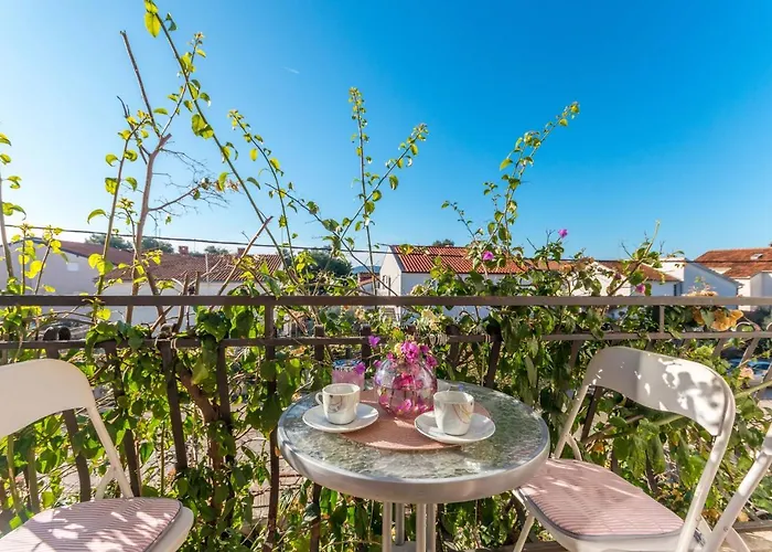 Savic Biograd Apartmán Biograd Na Moru