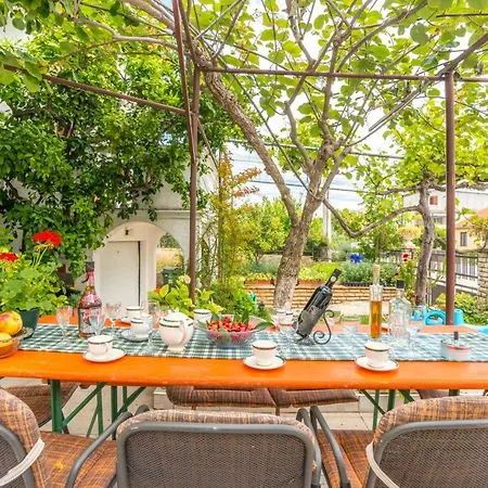 Savic Biograd * Biograd Na Moru